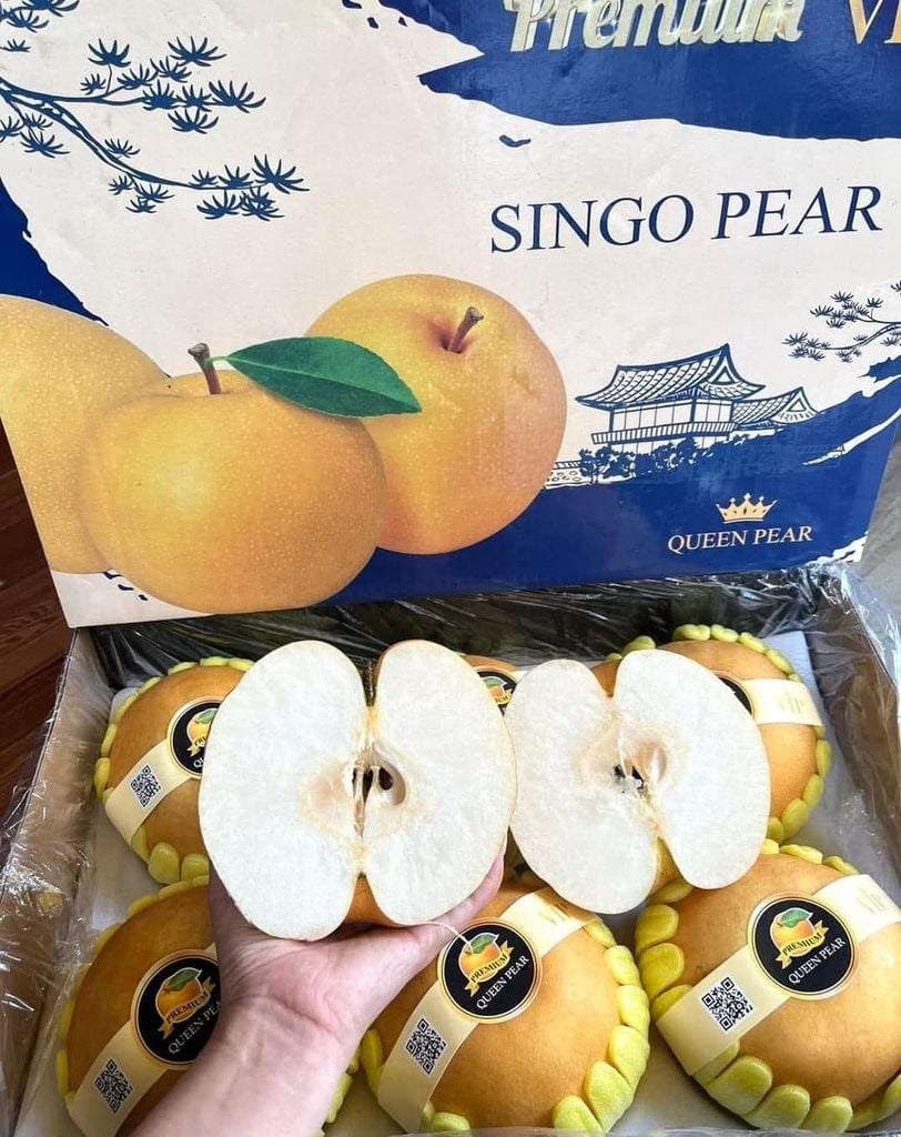 Lê Nâu Hàn Quốc VIP