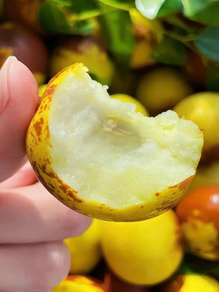 Hồng táo mật Jujube- Hộp 500g