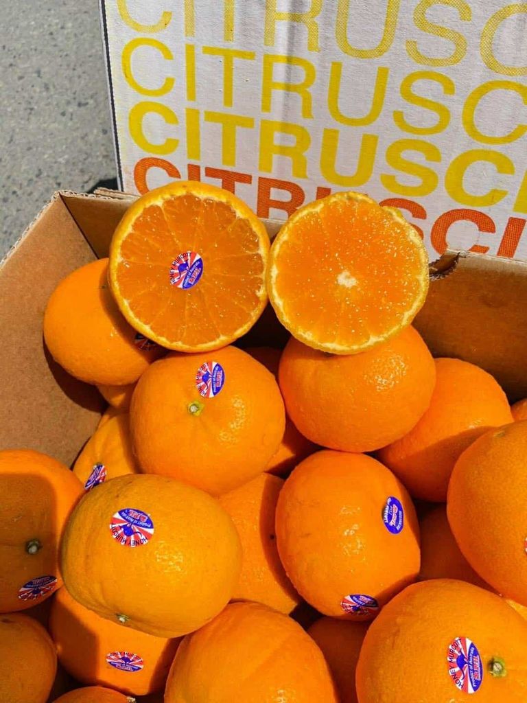 Quýt Úc Citrus - 1kg