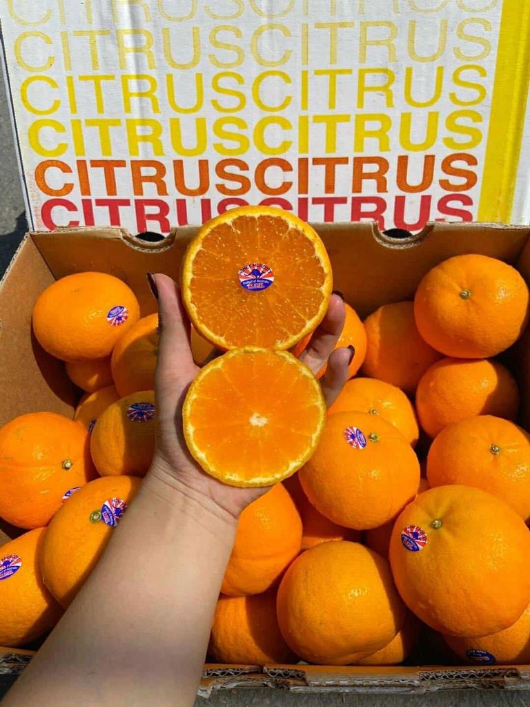 Quýt Úc Citrus - 1kg