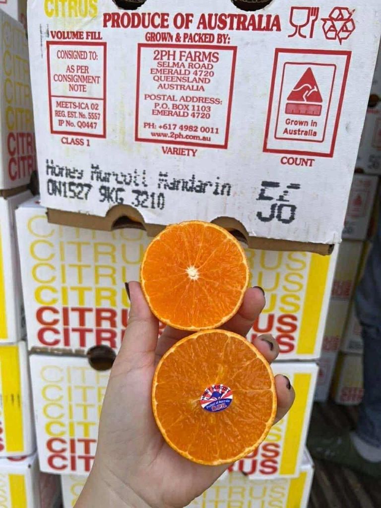 Quýt Úc Citrus - 1kg