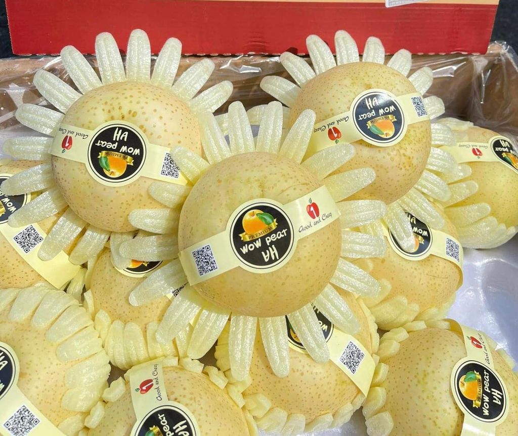 Lê Sữa Hàn Quốc- Trái