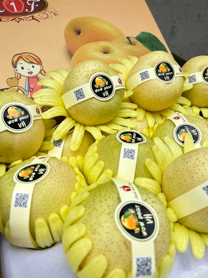 Lê Sữa Hàn Quốc- Trái