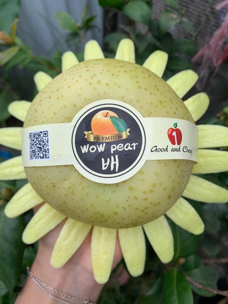 Lê Sữa Hàn Quốc- Trái