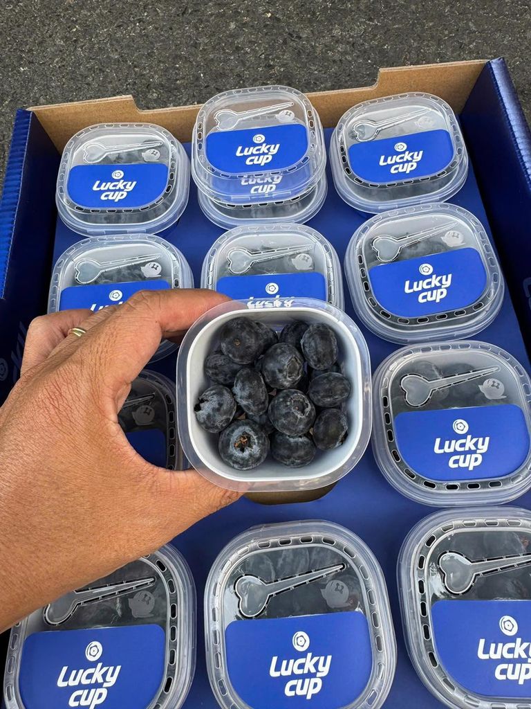 Việt Quất Ly Peru - 60gram