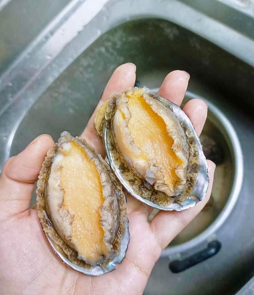 Bào Ngư Tươi - 0.5kg