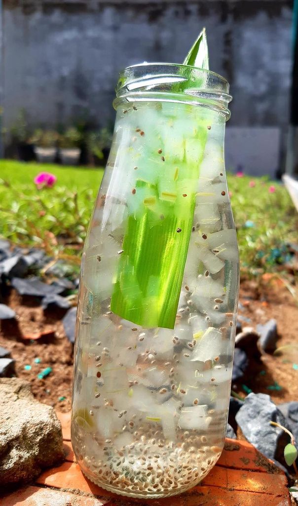 Hạt Chia Đen Bag EM - 500g