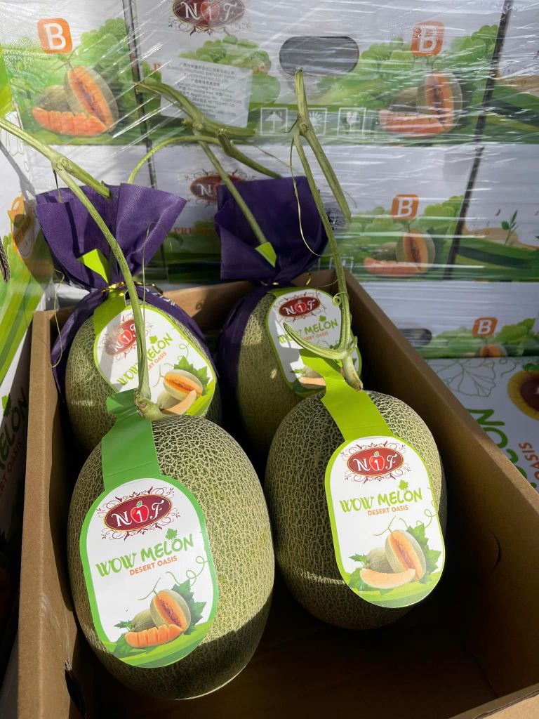 Dưa Lưới Đài Loan - Kg