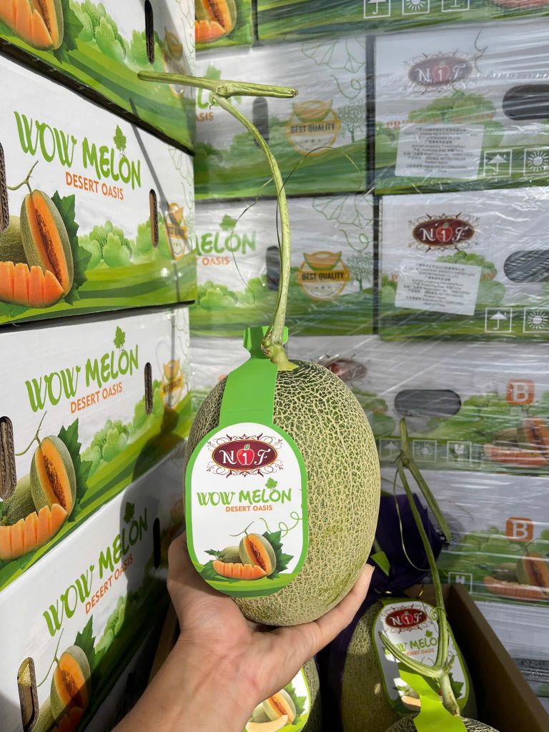 Dưa Lưới Đài Loan - Kg