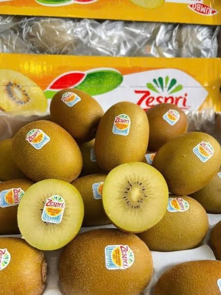 Kiwi Vàng Newzeland - Set 4 Trái