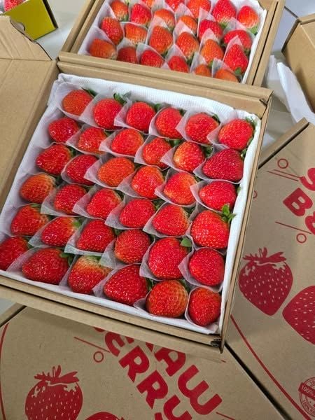 Dâu Nhật Thơm Ngon - 500gr