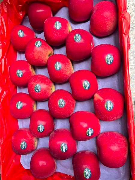 Táo Dazzle Cao Cấp Hộp VIP- Hộp 1,5kg