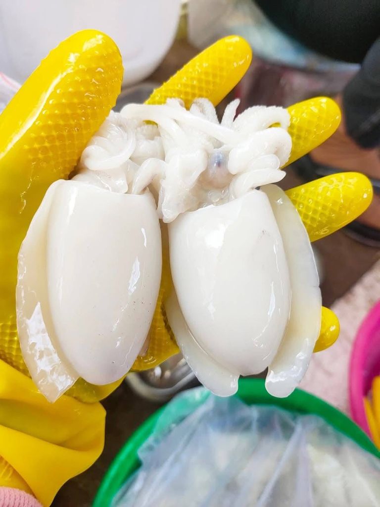 Mực Nang Phan Thiết - Vỉ 500Gram