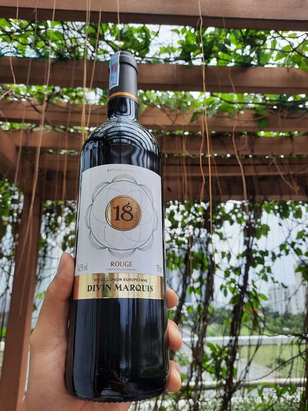 Rượu Vang Pháp - 750ml Divin Marquis 18