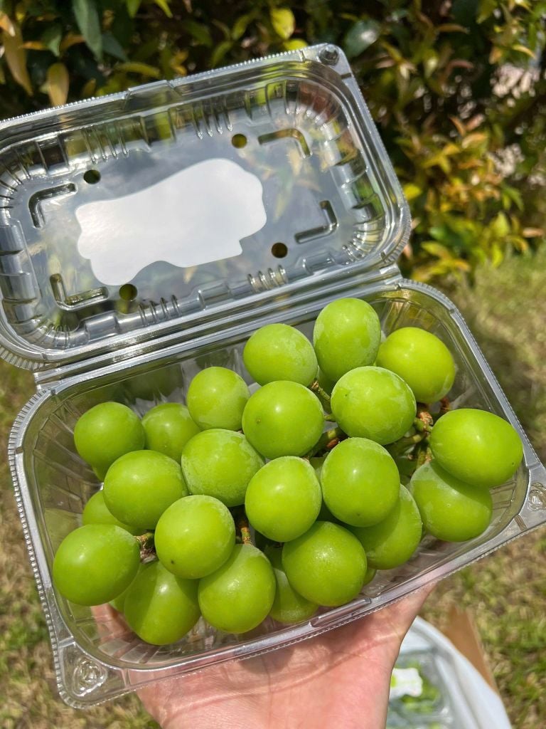 Nho Mẫu Đơn Shine Muscat - Hộp 500g