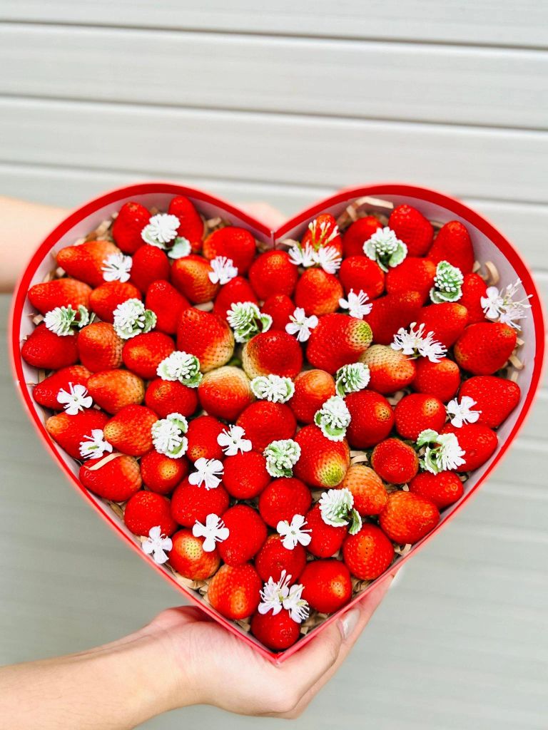 Món quà tặng 8/3 cho người yêu - Set Quà Trái Cây Ngoại Nhập