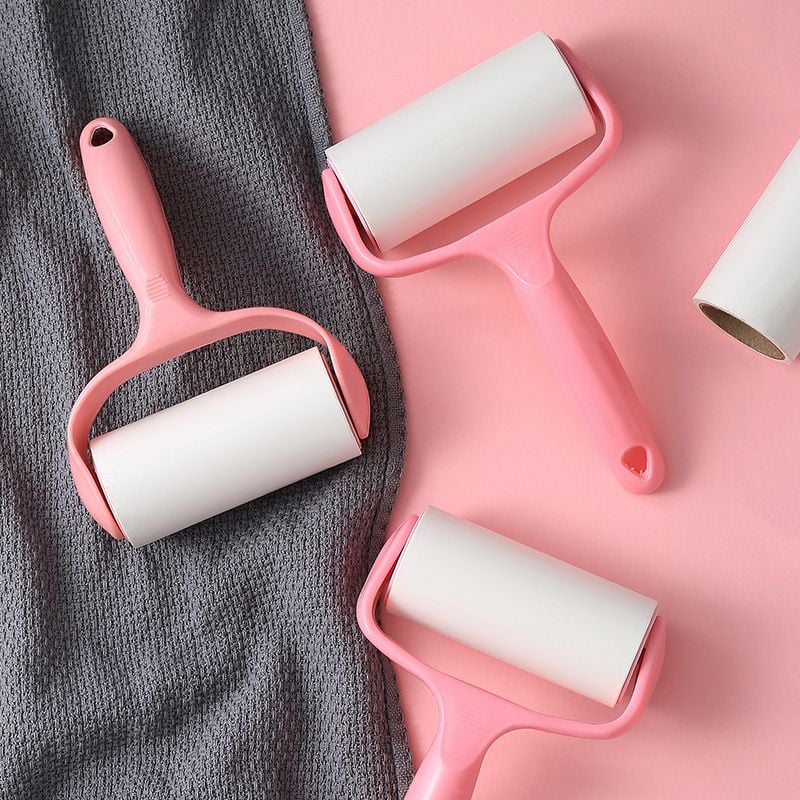 Dịch vụ vận chuyển cây lăn bụi từ Việt Nam đi Canada an toàn, đúng quy định, chi phí hợp lý