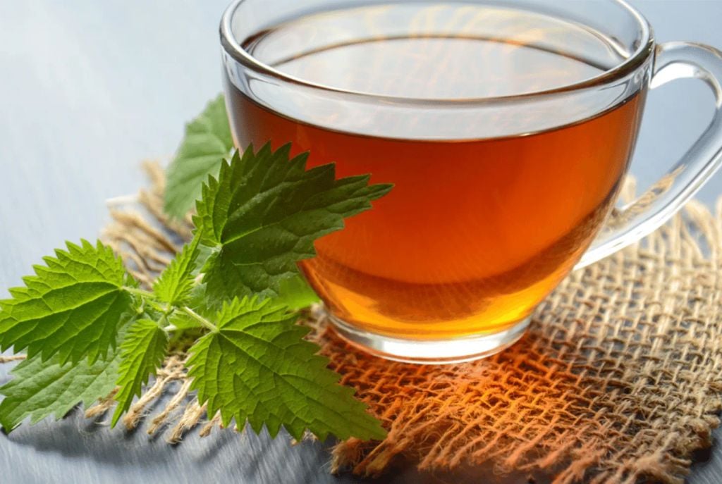 Trà tía tô túi lọc Shiso Tea Yamakan Nhật Bản