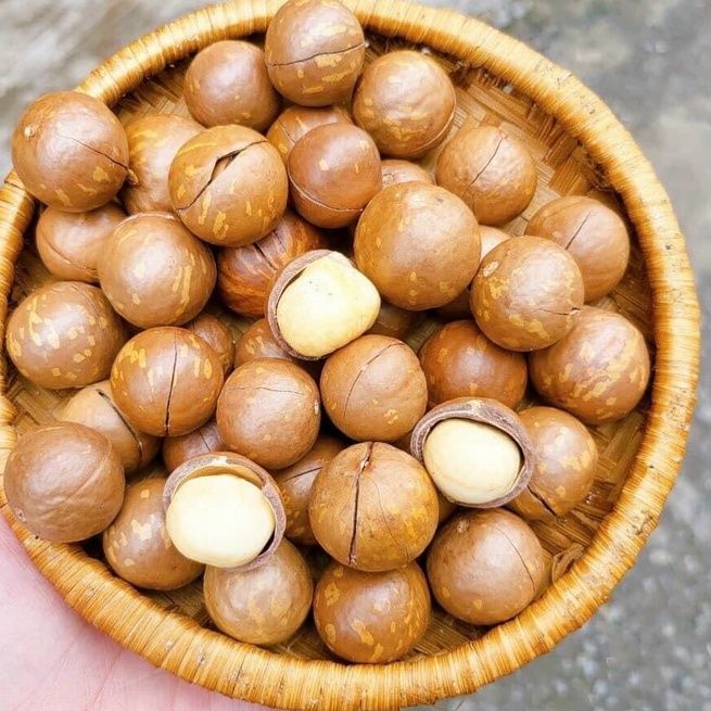 Hạt Macca - 500g