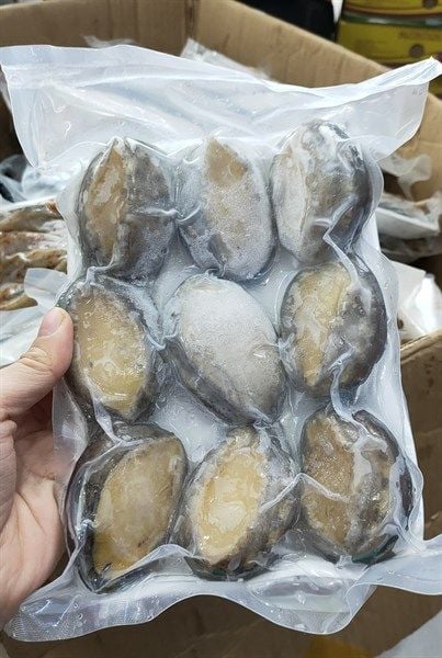 Bào Ngư Tươi - 0.5kg