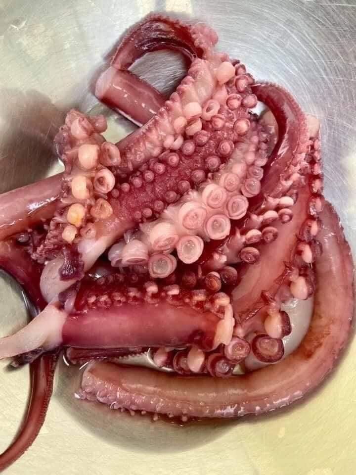 Râu Bạch Tuột - 1Kg Net 0.55kg