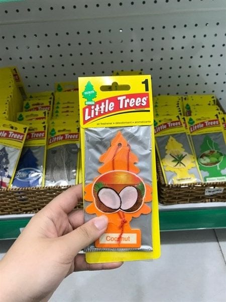 Cây Thông Thơm Little Trees