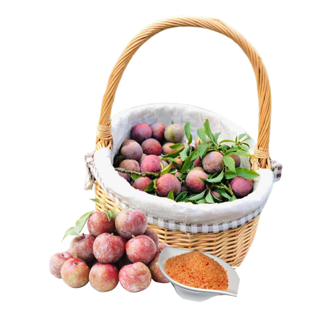 Mận Hậu Mộc Châu - 1KG