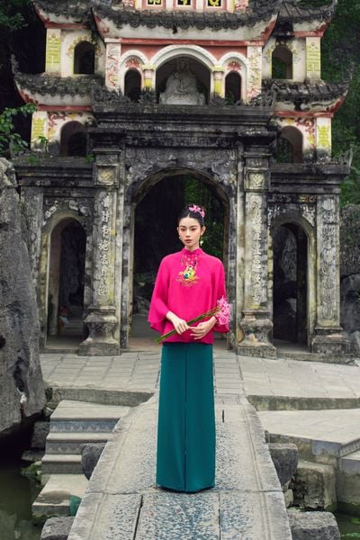  Quần Green Culottes 