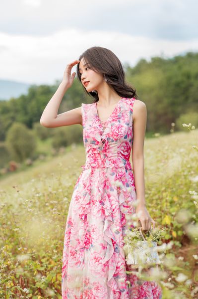  Brigita Rose Dress 