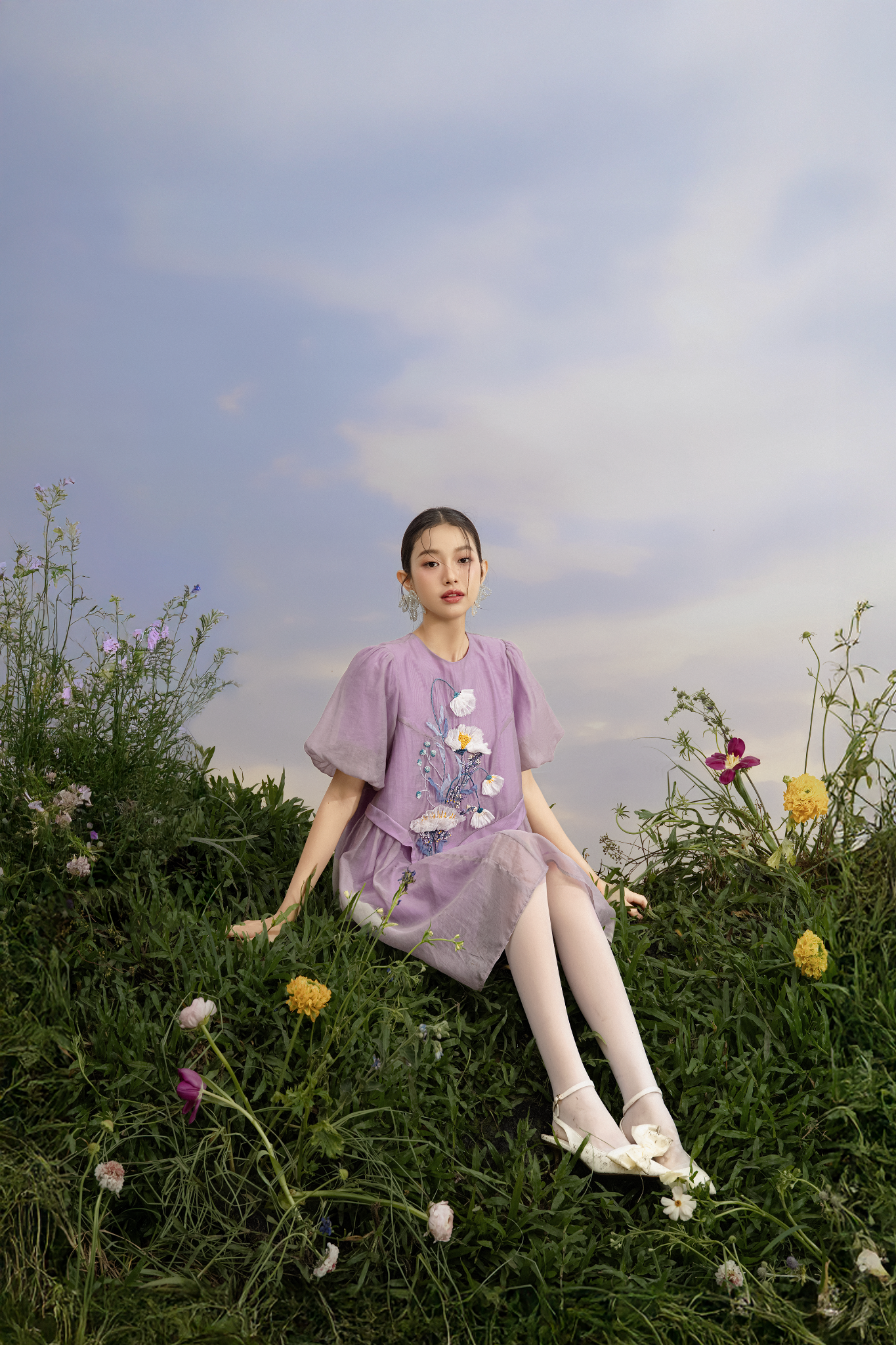 Mireille Embro Dress