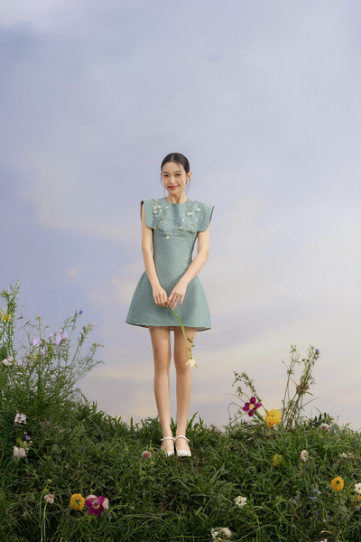  Viviette Embro Dress 