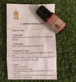 Tinh dầu chống đau đầu thảo mộc Do Thái - Schloss Camphor Peppermint Synergy 10ml