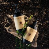 Nature Queen - Bộ gội xả nuôi dưỡng tóc và ngăn rụng tóc từ thảo dược 480ml