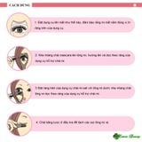 Dụng cụ hỗ trợ chuốt mascara