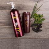 Dầu Gội Dược Liệu Thái Dương 7 - Dầu gội trị nấm, gàu, ngứa và Ngăn Ngừa Rụng Tóc