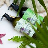 Dầu xả thảo mộc Organic Fuji