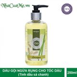 Dầu gội sả chanh ngừa rụng tóc dành cho tóc dầu Lemongrass Om Fountain