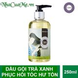 Dầu gội phục hồi tóc hư tổn chiết xuất trà xanh Om Fountain 250ml