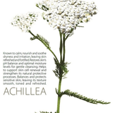 Sữa rửa mặt chiết xuất thảo mộc Israel, sữa rửa mặt dạng gel Moraz Chamomile & Achillea Facial Cleansing Gel 150ml