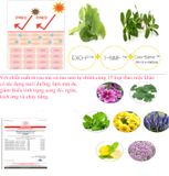 Kem Trang Điểm BB mỏng mịn chống nắng cho da thường/ hỗn hợp Holika Holika Holi Pop BB Cream #03 Glow SPF30/PA++ - 30ml