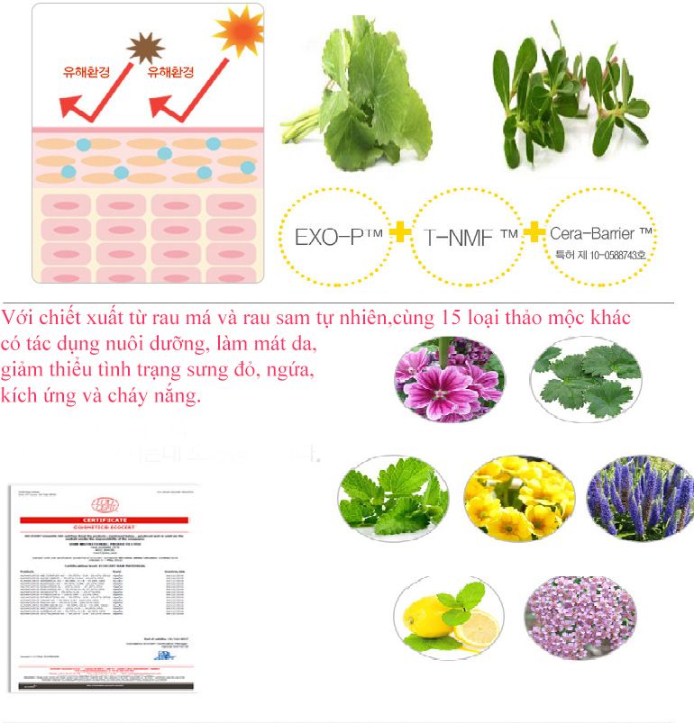 bb cream holika holika