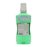 Nước súc miệng tinh chất bạc hà Dentiplus 500ml giúp tẩy sạch cao răng, ngăn ngừa sâu răng, bảo vệ răng, giữ hơi thở thơm tho