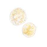 Tinh chất serum giảm quầng thâm và bọng mắt The Ordinary Caffein Solution 5% + EGCG 30ml