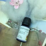 Tinh Dầu Trị Sổ Mũi Nghẹt Mũi, Viêm Mũi Dị Ứng, Viêm Xoang Schloss Eucalyptus Radiata Oil 10ml