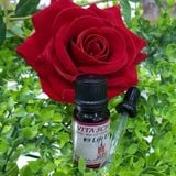 Siro Cảm Cúm Chiết Xuất Thảo Mộc Israel - Schloss N9 LIFE EXLIXIR