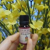 Siro Cảm Cúm Chiết Xuất Thảo Mộc Israel - Schloss N9 LIFE EXLIXIR