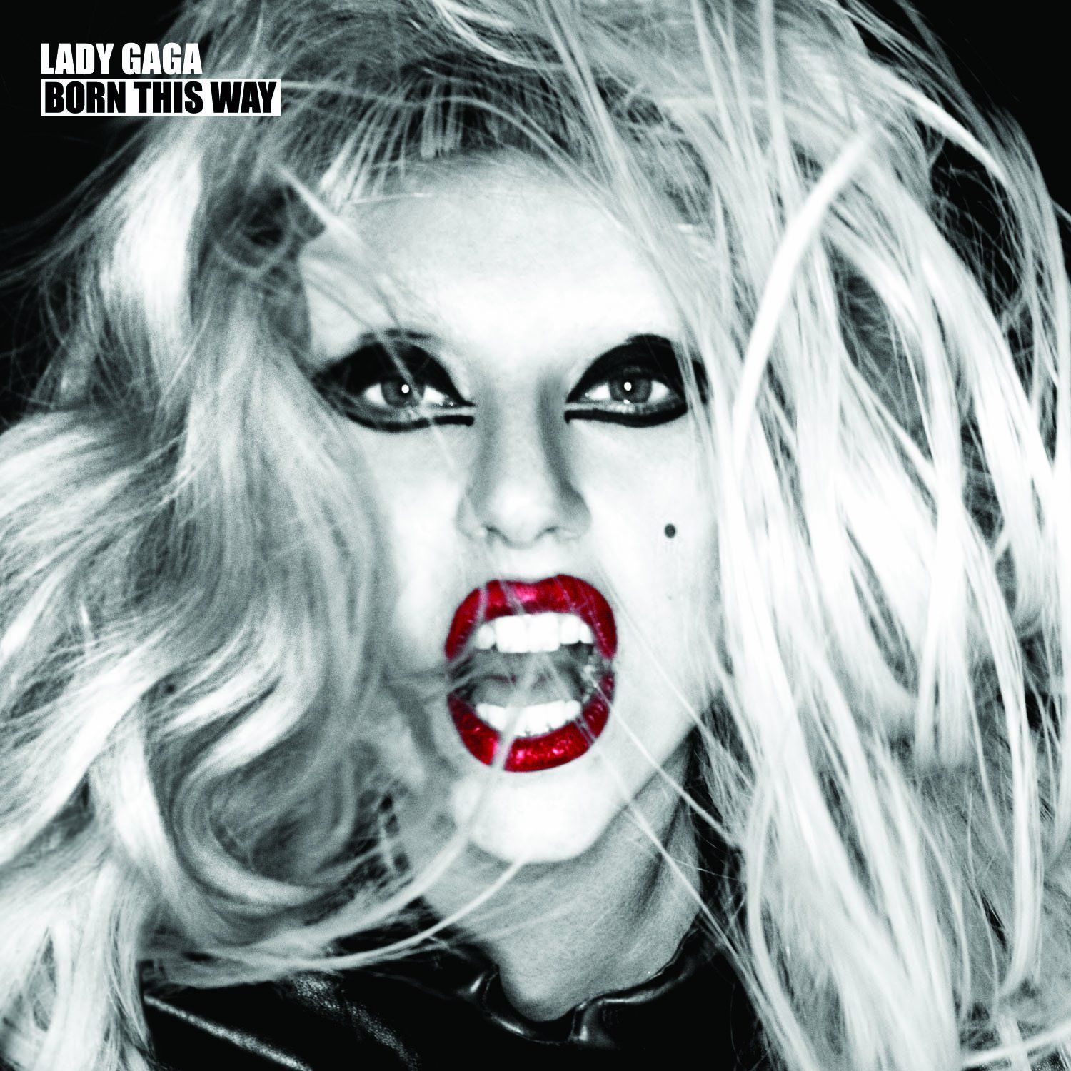 L*r様 LADY GAGA Born This Way LIMITED Edi Lady Gaga - Born This Way (Special Edition 2CD) - Đĩa CD – Hãng