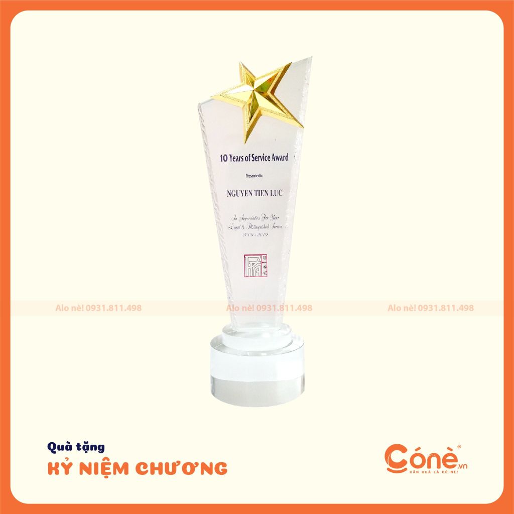 [KNC004] Kỷ Niệm Chương Ngôi Sao Nổi