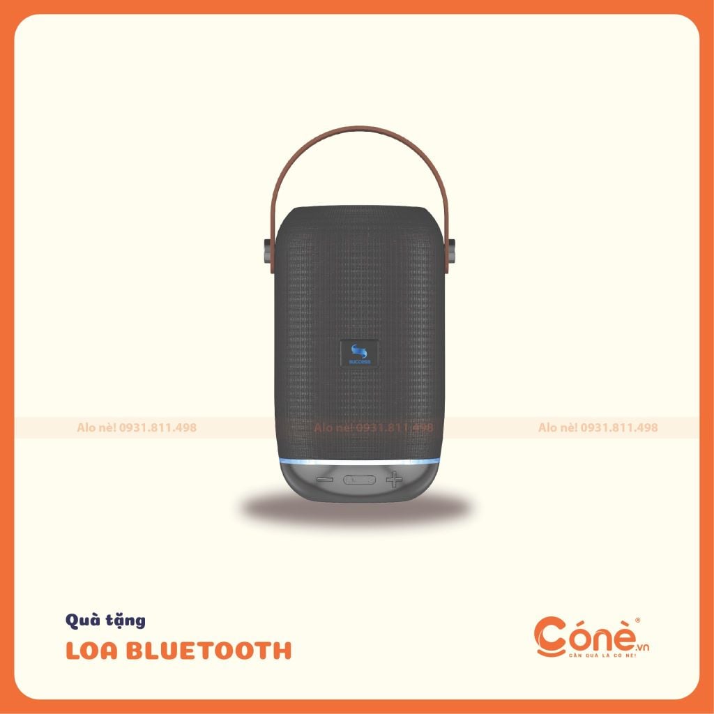 loa Energizer BTS103