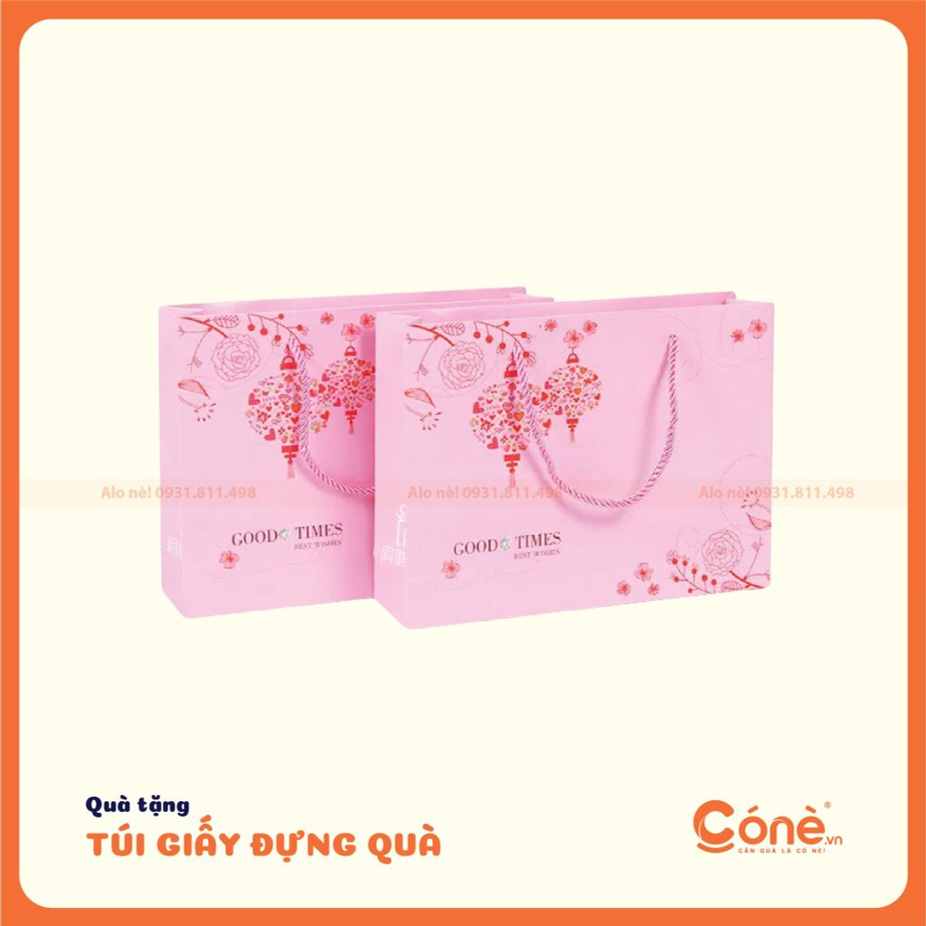[TG011] Túi Giấy
